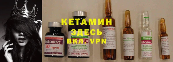 шишки Абинск