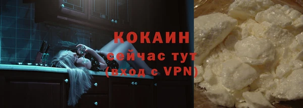 шишки Абинск