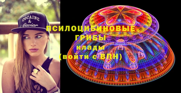 мдпв Пролетарск